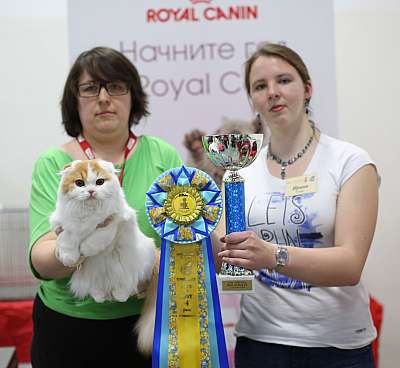 �������� ����� '���-�����-������' 11-12 ������ 2015 4-56-169A4862 copy.jpg